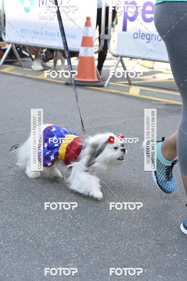 Buy your photos of the event2� Pet Run Shopping Eldorado  on Fotop