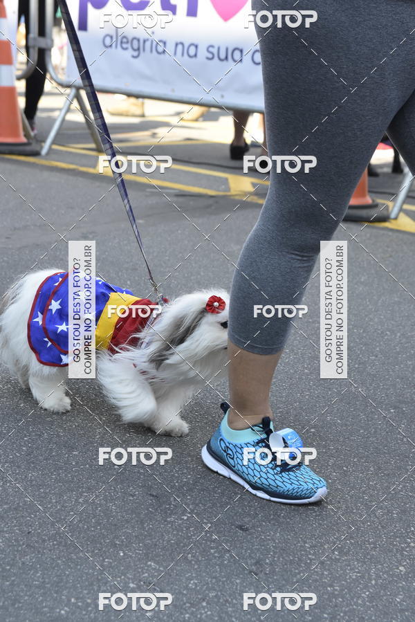 Buy your photos of the event2� Pet Run Shopping Eldorado  on Fotop
