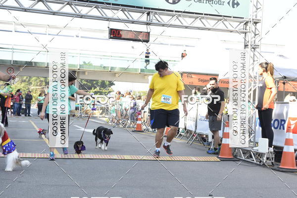 Buy your photos of the event2� Pet Run Shopping Eldorado  on Fotop