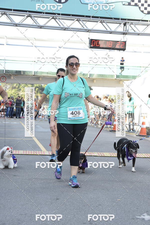 Buy your photos of the event2� Pet Run Shopping Eldorado  on Fotop