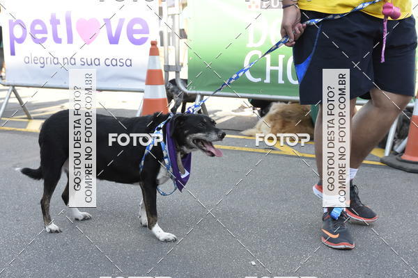 Buy your photos of the event2� Pet Run Shopping Eldorado  on Fotop