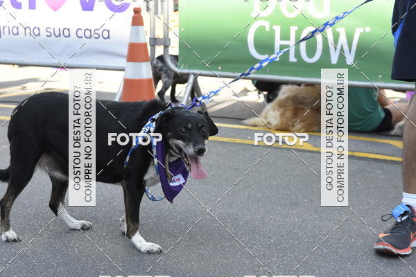 Buy your photos of the event2� Pet Run Shopping Eldorado  on Fotop