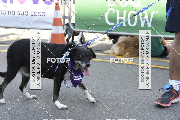 Buy your photos of the event2� Pet Run Shopping Eldorado  on Fotop