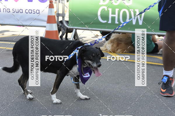 Buy your photos of the event2� Pet Run Shopping Eldorado  on Fotop