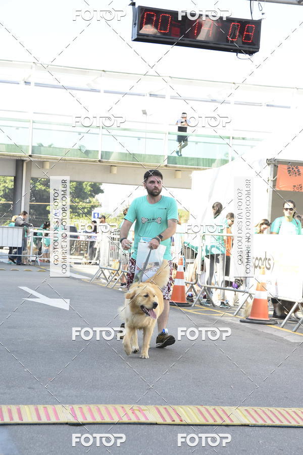Buy your photos of the event2� Pet Run Shopping Eldorado  on Fotop