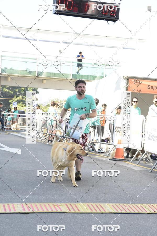 Buy your photos of the event2� Pet Run Shopping Eldorado  on Fotop