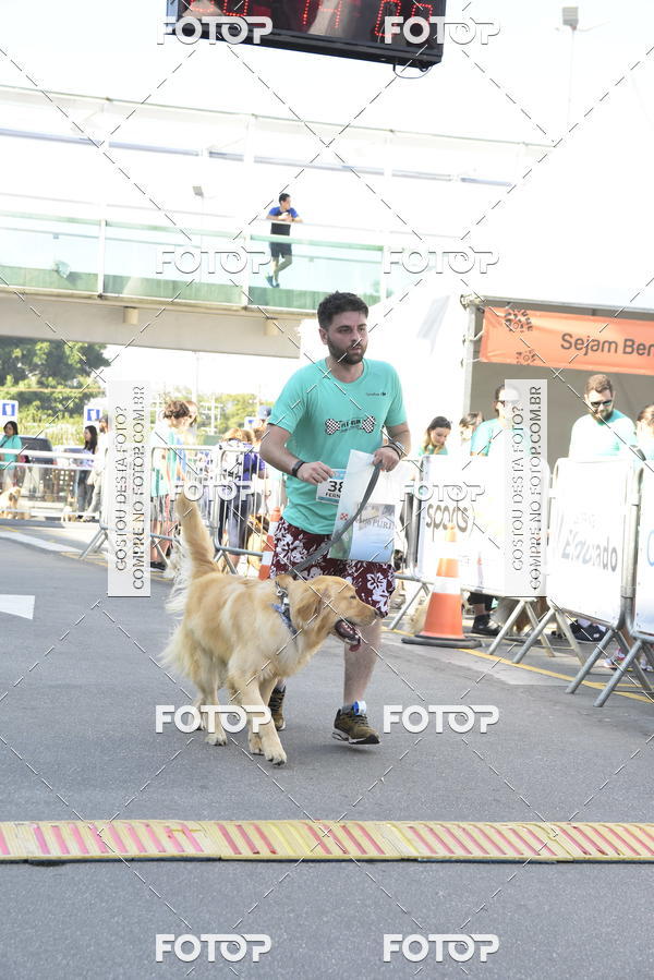 Buy your photos of the event2� Pet Run Shopping Eldorado  on Fotop