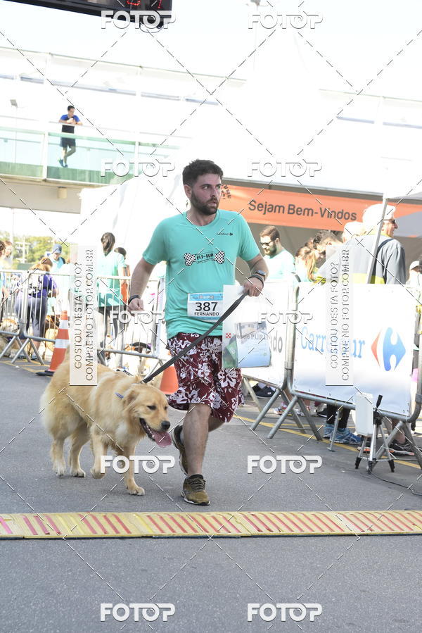 Buy your photos of the event2� Pet Run Shopping Eldorado  on Fotop