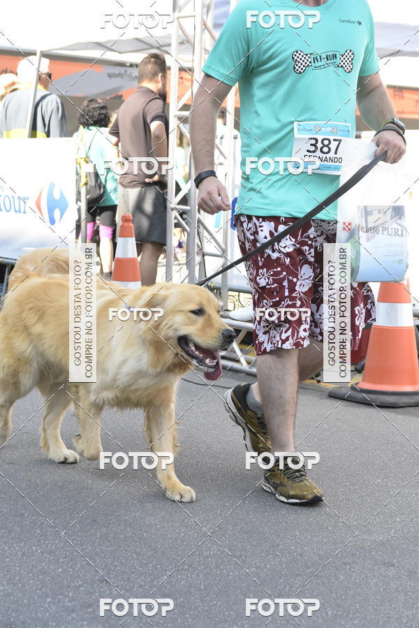 Buy your photos of the event2� Pet Run Shopping Eldorado  on Fotop