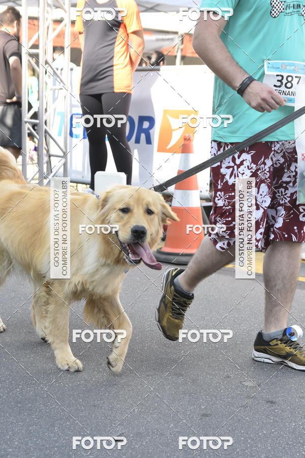 Buy your photos of the event2� Pet Run Shopping Eldorado  on Fotop