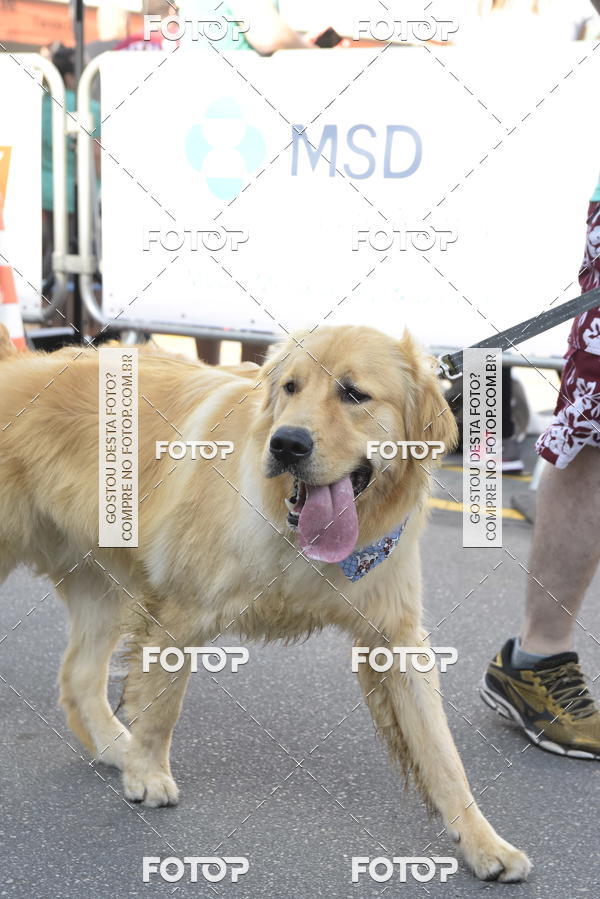 Buy your photos of the event2� Pet Run Shopping Eldorado  on Fotop
