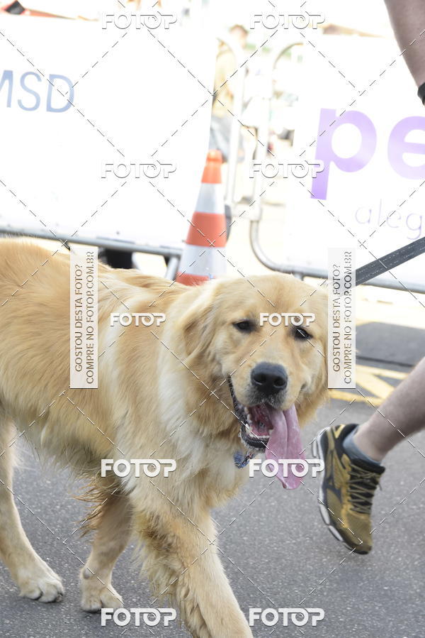 Buy your photos of the event2� Pet Run Shopping Eldorado  on Fotop