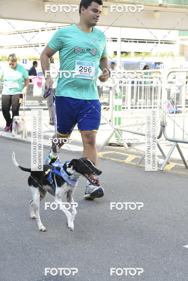 Buy your photos of the event2� Pet Run Shopping Eldorado  on Fotop