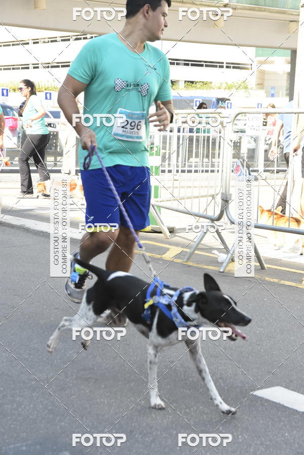 Buy your photos of the event2� Pet Run Shopping Eldorado  on Fotop