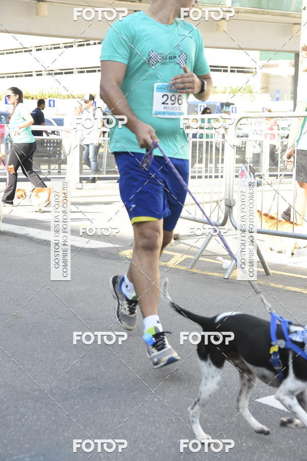 Buy your photos of the event2� Pet Run Shopping Eldorado  on Fotop