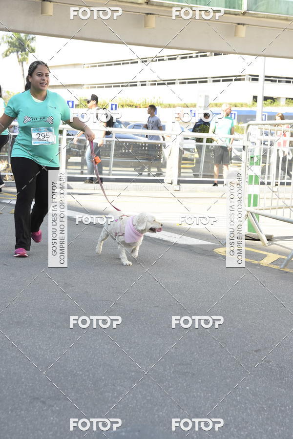 Buy your photos of the event2� Pet Run Shopping Eldorado  on Fotop