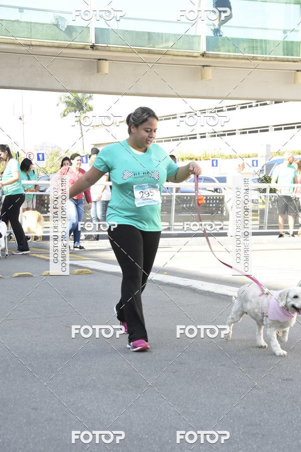 Buy your photos of the event2� Pet Run Shopping Eldorado  on Fotop