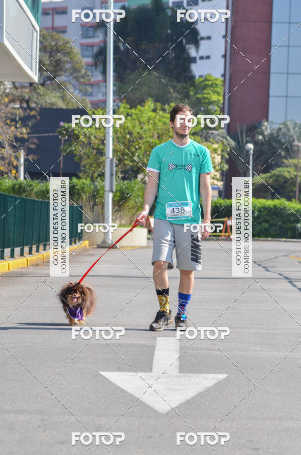 Buy your photos of the event2� Pet Run Shopping Eldorado  on Fotop