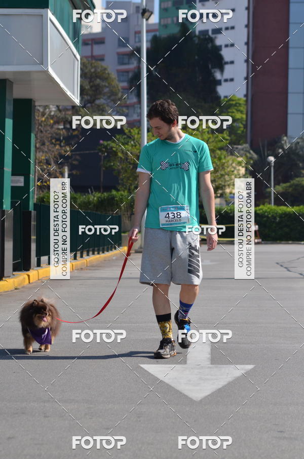 Buy your photos of the event2� Pet Run Shopping Eldorado  on Fotop