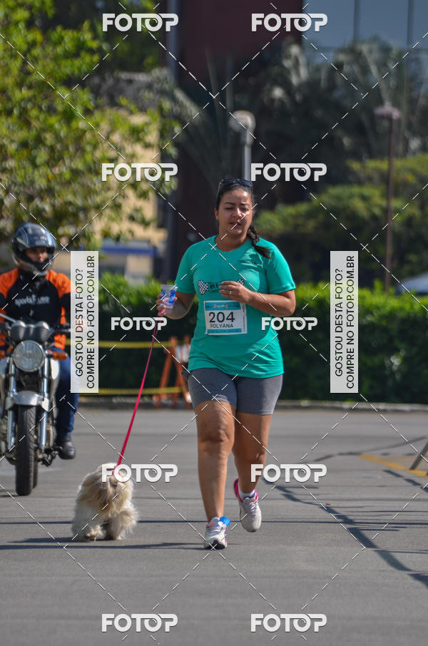 Buy your photos of the event2� Pet Run Shopping Eldorado  on Fotop