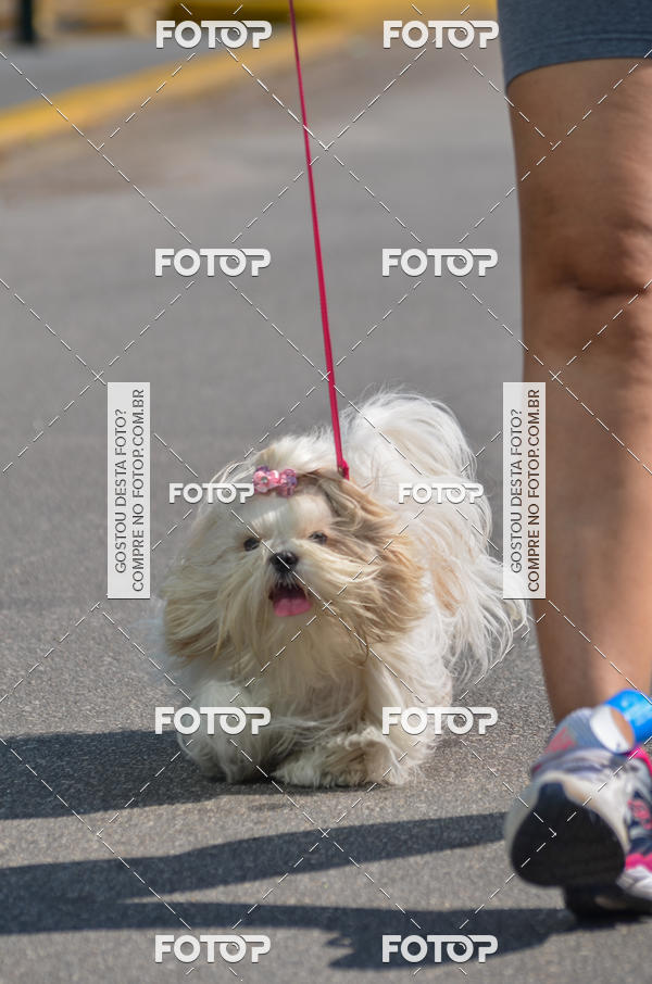 Buy your photos of the event2� Pet Run Shopping Eldorado  on Fotop