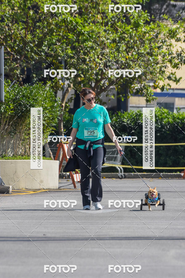 Buy your photos of the event2� Pet Run Shopping Eldorado  on Fotop