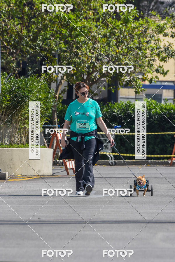 Buy your photos of the event2� Pet Run Shopping Eldorado  on Fotop