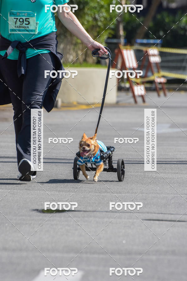 Buy your photos of the event2� Pet Run Shopping Eldorado  on Fotop