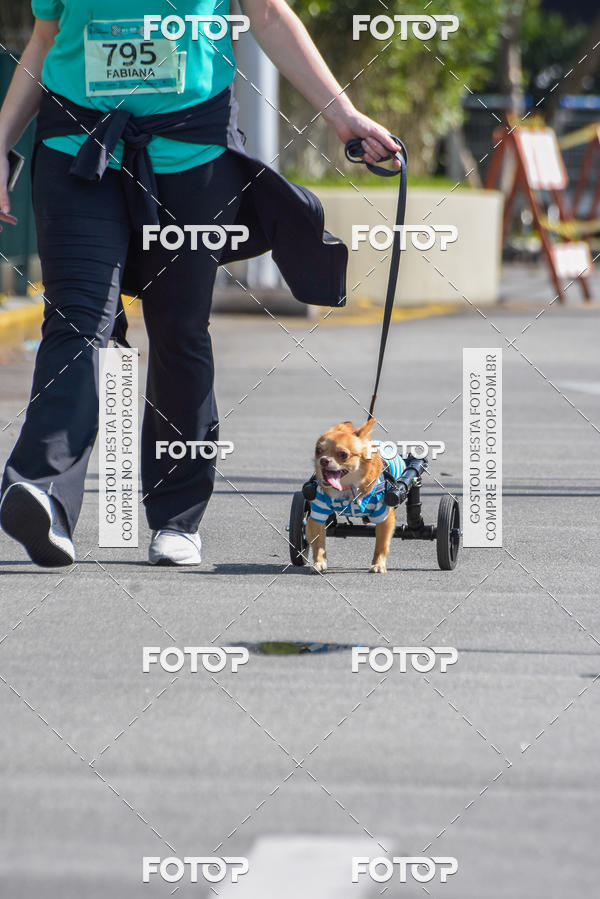 Buy your photos of the event2� Pet Run Shopping Eldorado  on Fotop