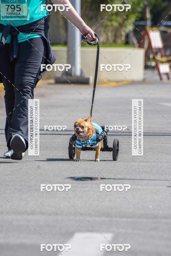 Buy your photos of the event2� Pet Run Shopping Eldorado  on Fotop