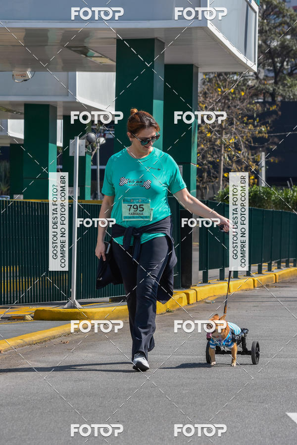 Buy your photos of the event2� Pet Run Shopping Eldorado  on Fotop
