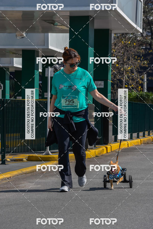 Buy your photos of the event2� Pet Run Shopping Eldorado  on Fotop