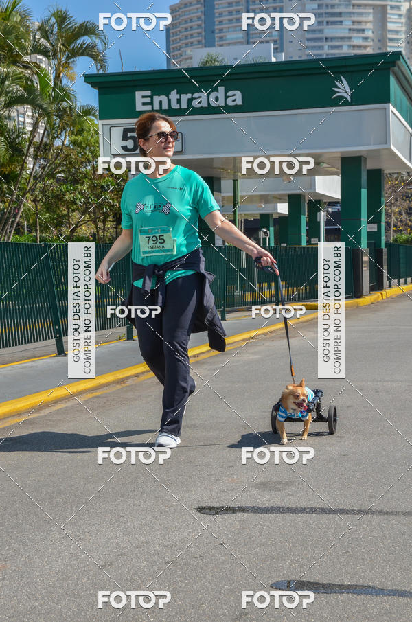 Buy your photos of the event2� Pet Run Shopping Eldorado  on Fotop