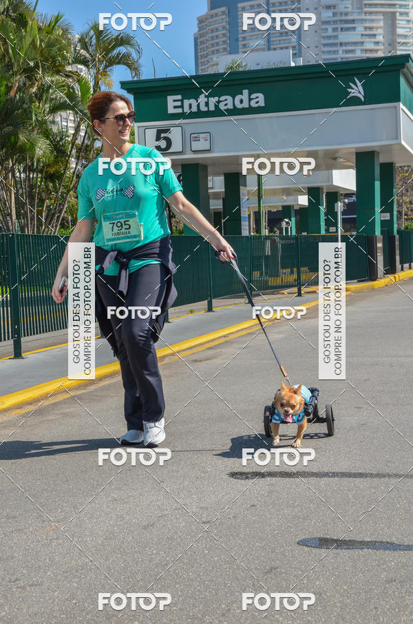 Buy your photos of the event2� Pet Run Shopping Eldorado  on Fotop