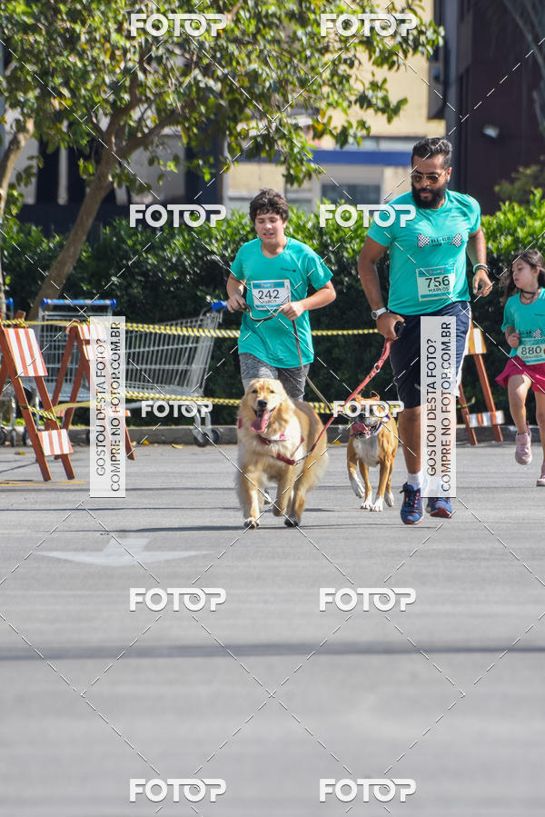 Buy your photos of the event2� Pet Run Shopping Eldorado  on Fotop