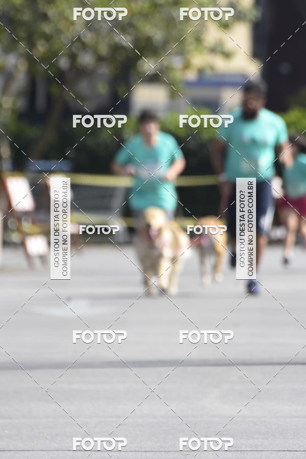 Buy your photos of the event2� Pet Run Shopping Eldorado  on Fotop
