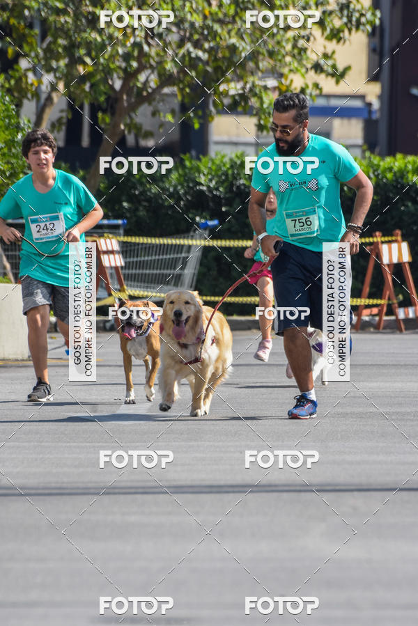 Buy your photos of the event2� Pet Run Shopping Eldorado  on Fotop