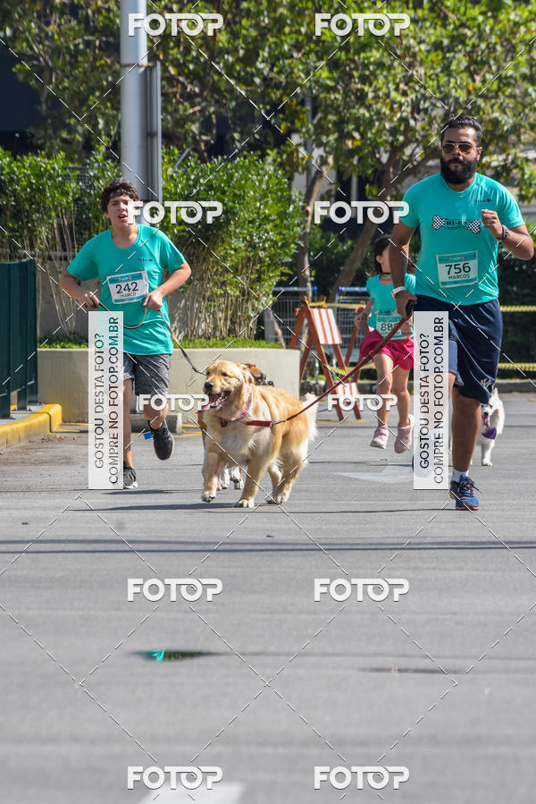 Buy your photos of the event2� Pet Run Shopping Eldorado  on Fotop
