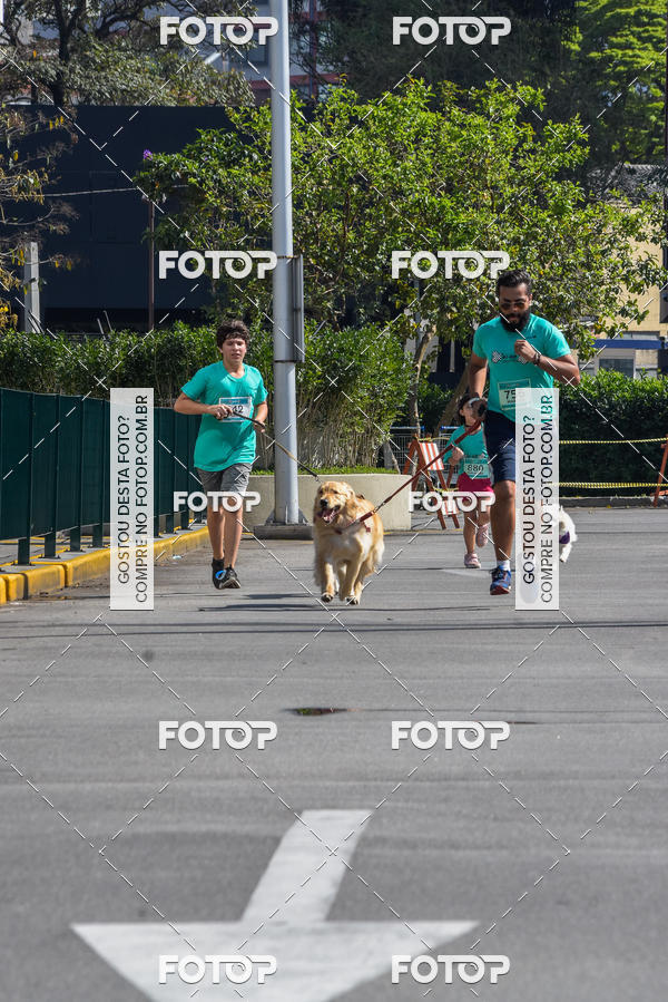 Buy your photos of the event2� Pet Run Shopping Eldorado  on Fotop