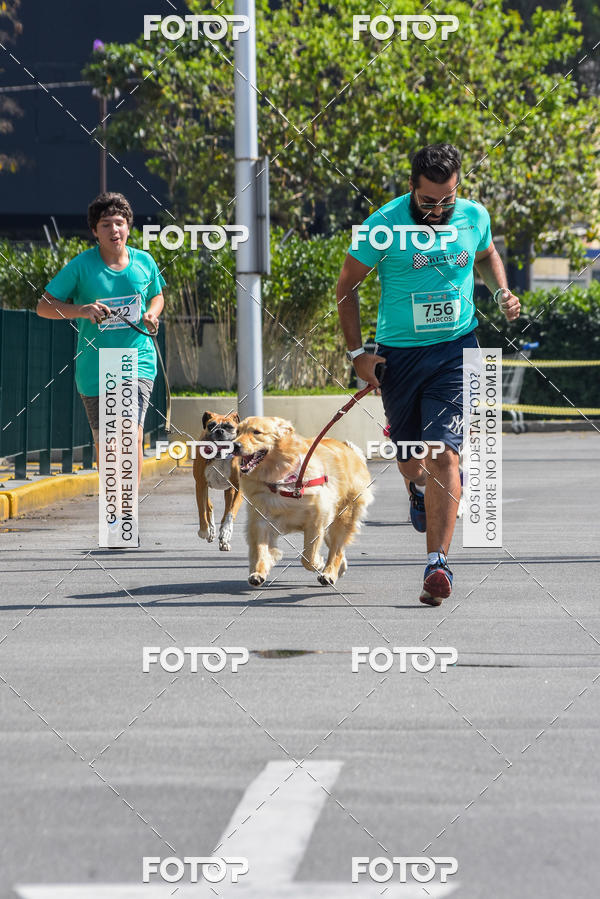 Buy your photos of the event2� Pet Run Shopping Eldorado  on Fotop