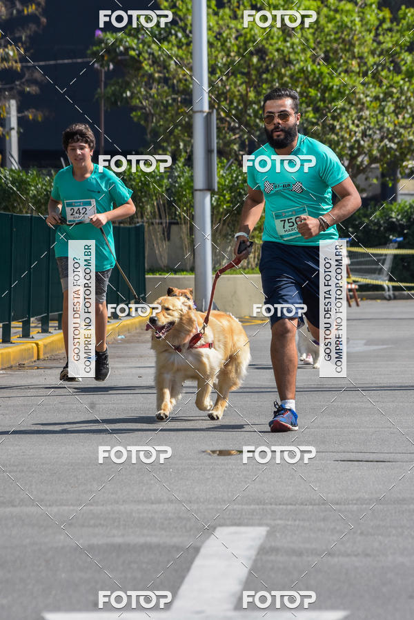 Buy your photos of the event2� Pet Run Shopping Eldorado  on Fotop