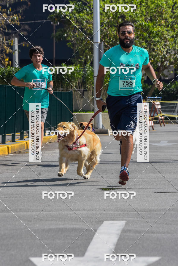 Buy your photos of the event2� Pet Run Shopping Eldorado  on Fotop