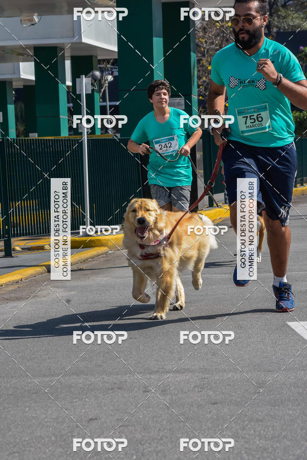 Buy your photos of the event2� Pet Run Shopping Eldorado  on Fotop