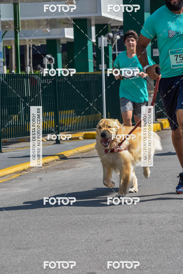Buy your photos of the event2� Pet Run Shopping Eldorado  on Fotop