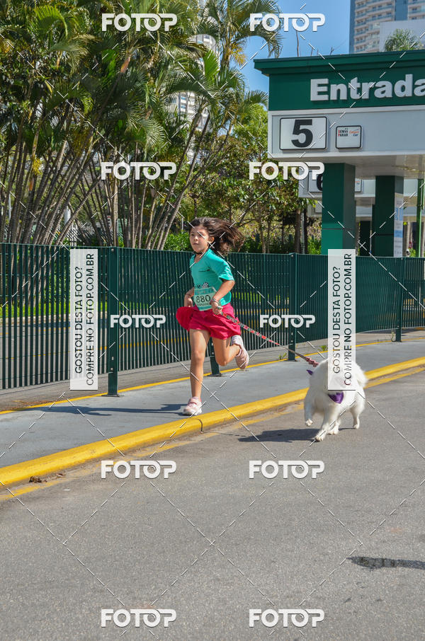 Buy your photos of the event2� Pet Run Shopping Eldorado  on Fotop