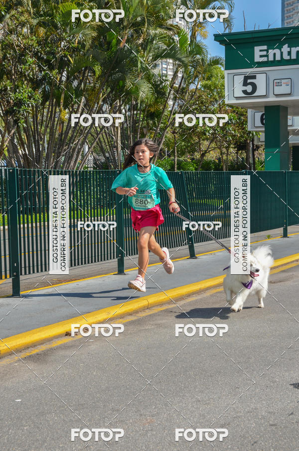 Buy your photos of the event2� Pet Run Shopping Eldorado  on Fotop