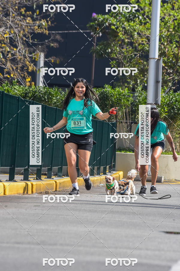 Buy your photos of the event2� Pet Run Shopping Eldorado  on Fotop