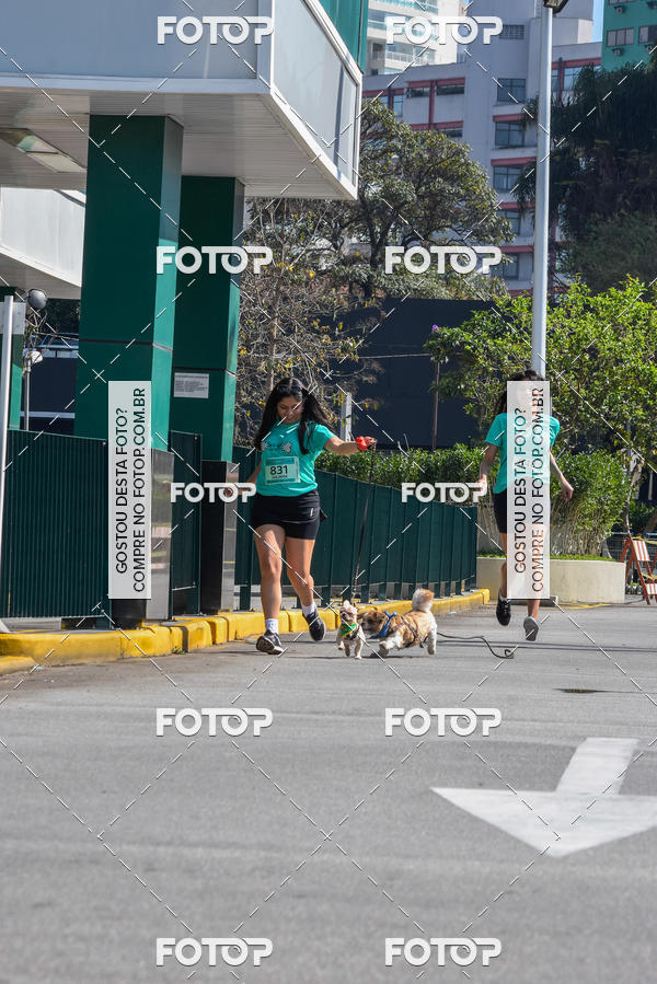 Buy your photos of the event2� Pet Run Shopping Eldorado  on Fotop