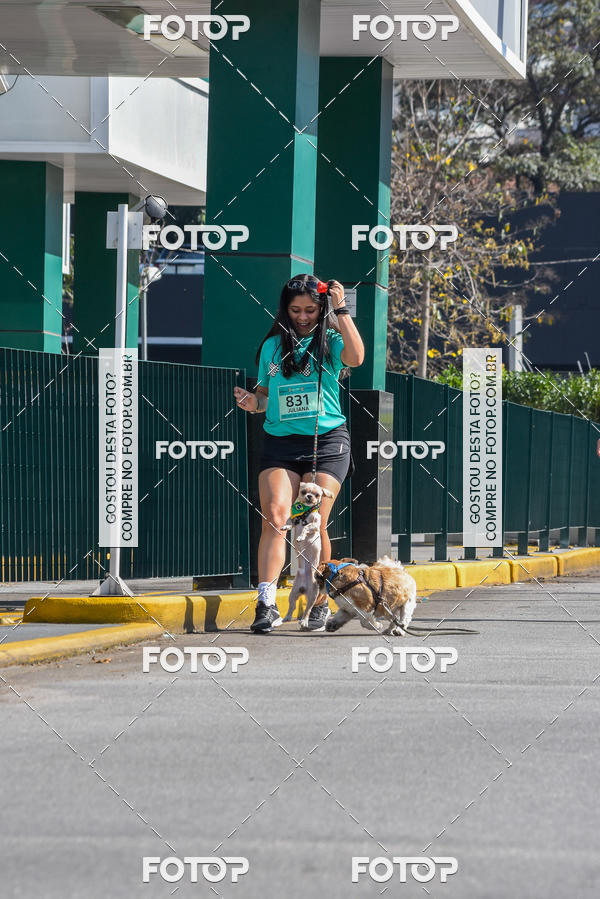 Buy your photos of the event2� Pet Run Shopping Eldorado  on Fotop
