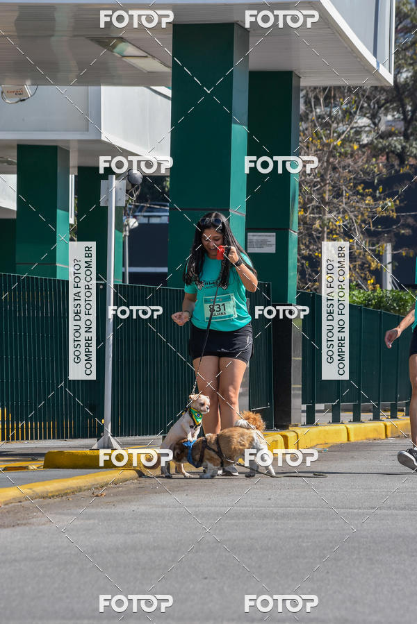 Buy your photos of the event2� Pet Run Shopping Eldorado  on Fotop